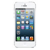 Apple iPhone 5 16Gb white - Вязники