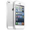 Apple iPhone 5 64Gb white - Вязники